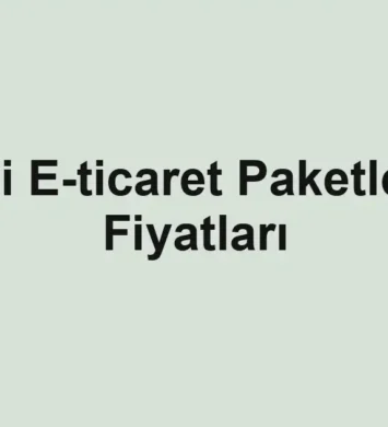 e-ticaret