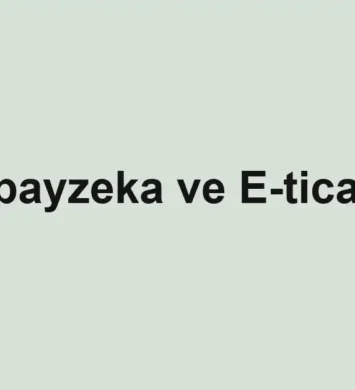 e-ticaret